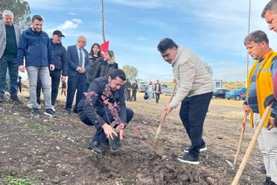 Ağaçlandırma günü etkinliği Havran’da gerçekleştirildi