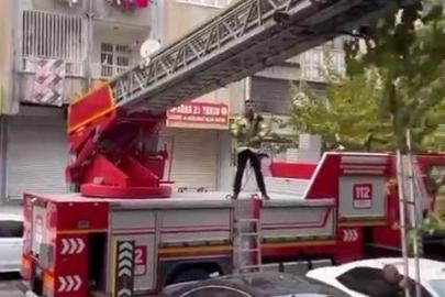 Ağaçta mahsur kalan kediyi kurtarmak için seferber oldular