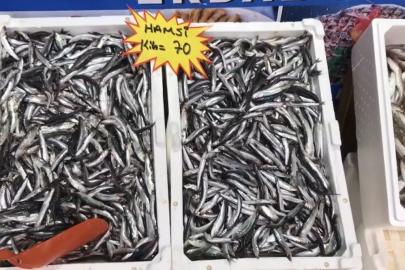 Akçakoca’dan balık tüketicilerine uyarı: "Buzhane balığına dikkat"