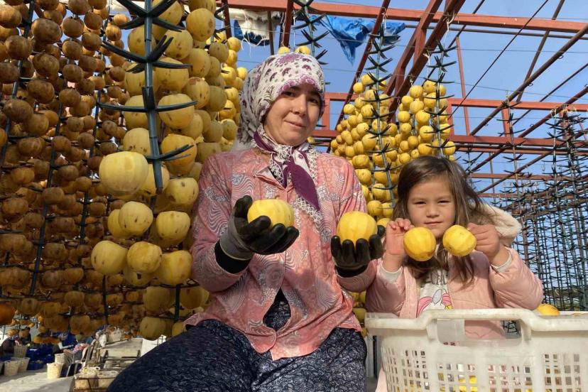 Alaşehir’de ilk kez ’Cennet Hurması Festivali’ düzenlenecek