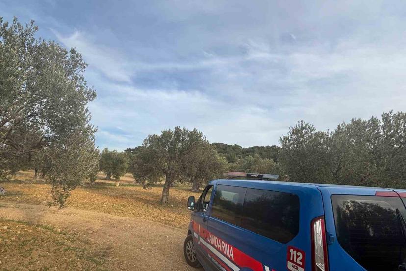 Aliağa’da zeytin hasadı başladı, güvenlik önlemleri artırıldı