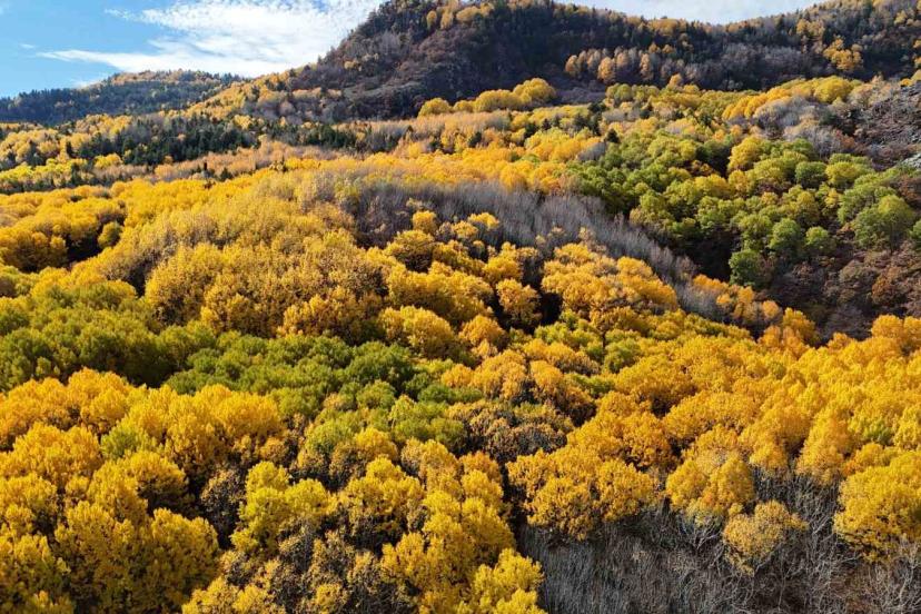 Ankaralıların doğayla buluşma noktası: "Karagöl Tabiat Parkı"