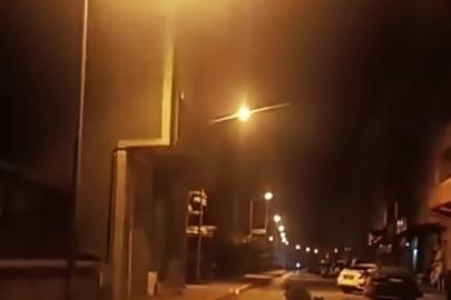 Anne ayı ve yavruları ilçe merkezine indi