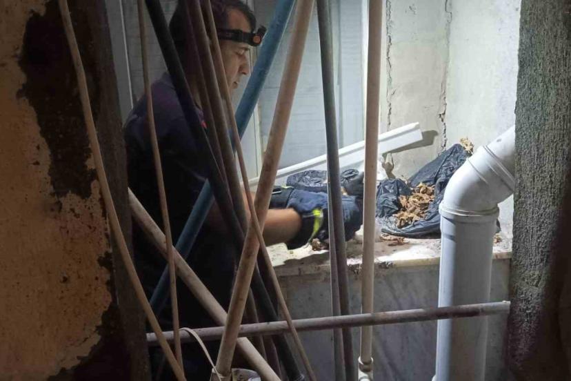 Apartman boşluğuna düşürek mahsur kalan yavru kediyi itfaiye ekipleri kurtardı