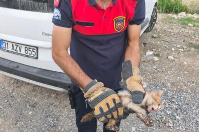 Arsuz’da aracın kaputuna giren kediyi itfaiye kurtardı