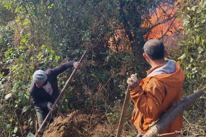 Artvin Hopa’da 5 hektarlık alanı küle çeviren yangınla mücadele sürüyor