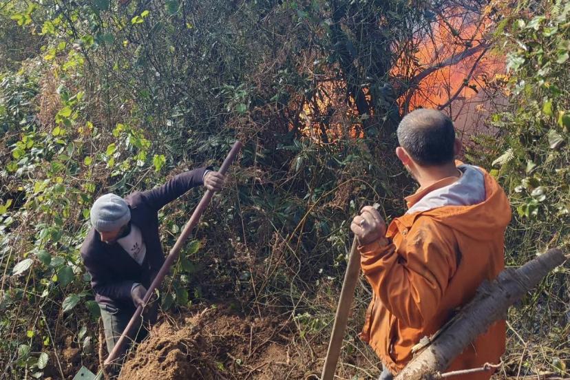 Artvin Hopa’da 5 hektarlık alanı küle çeviren yangınla mücadele sürüyor