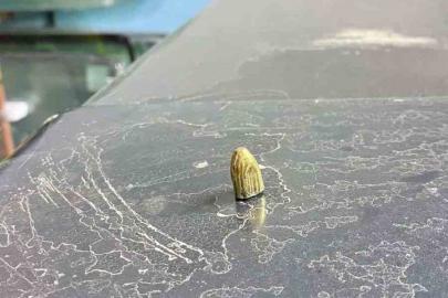 Artvin’de maganda kurşunu park halindeki araca ve iş yerine isabet etti