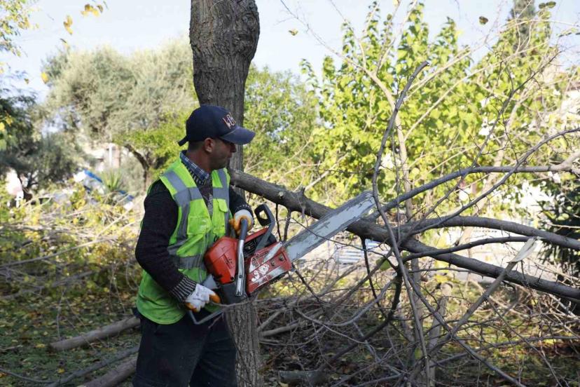 Aydın Büyükşehir Kemer Mahallesi’nde budama ve temizlik çalışması gerçekleştirdi