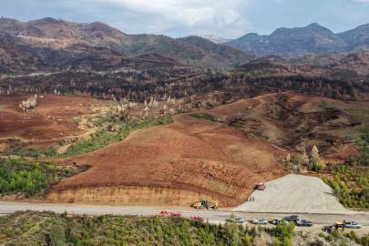 Aydın’da 17 lokasyonda fidan dikilecek