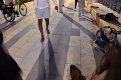 Bankta köpeğiyle oturan yerleşik yabancı kız çocuğu hayatının şokunu yaşadı
