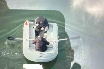 Baraj gölüne 135 metre kaçak ağ sererken jandarmaya yakalandılar