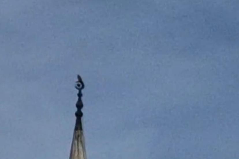 Bartın’da gökdoğan heyecanı