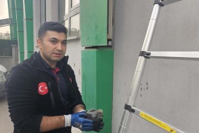 Batman’da kolonlara sıkışan kuş kurtarıldı