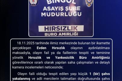 Bingöl’de hırsızlık olayının faili tutuklandı