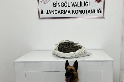 Bingöl’de zehir tacirlerine geçit yok