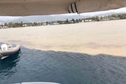 Bodrum’da sağanak sonrası deniz çamura döndü, ikiye ayrılan renk görenleri şaşırttı