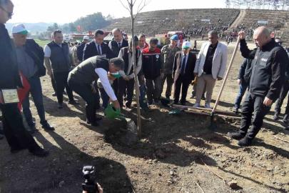 Bolu’da yanan orman yeniden yeşeriyor