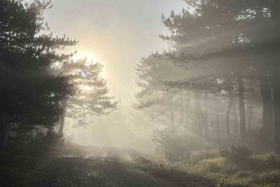 Bozdağ zirvesindeki sis manzarası hayran bıraktı