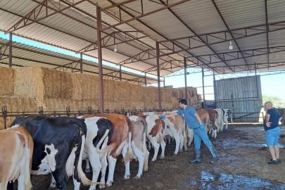 Bozdoğan’da hayvan otlatmak ve hayvan pisliğini dışarı çıkarmak yasaklandı