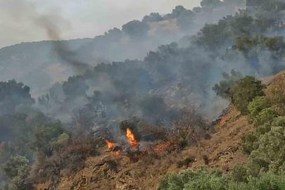 Bozdoğan’da orman yangını