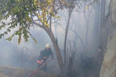 Bozyazı’da çıkan yangın seralara zarar verdi