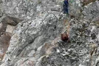 Burdur’da mahsur kalan keçiler ekipler tarafından kurtarıldı