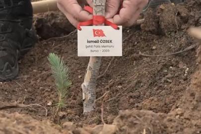 Bursa’da şehitler anısına fidan dikildi