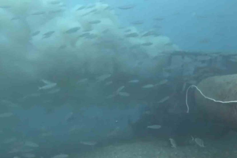 Çanakkale’de boğaza dökülen atık su ile karşılaşan dalgıç, o anları su altı kamerasıyla kaydetti