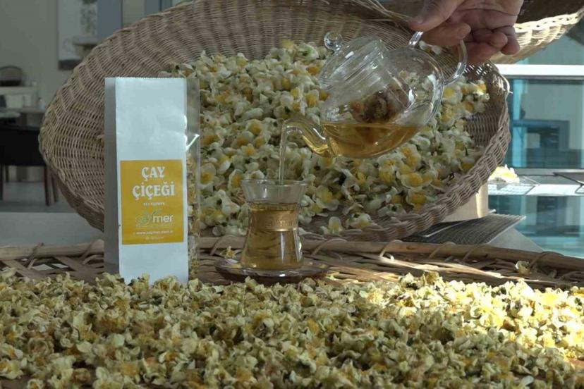 Çayın yeni ürünü ‘Çay çiçeği çayı’ 6 bin TL’den satılıyor