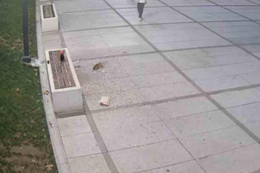 Çekirdek keyfi pahalıya patladı