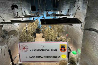 Çiftlik evlerini kenevir serasına çeviren sanıkların yargılanmasına devam edildi