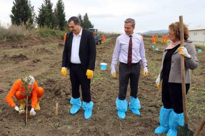 Dalaman Açık Ceza İnfaz Kurumunda 10 dekar alana Sakız ağacı fidanı dikildi