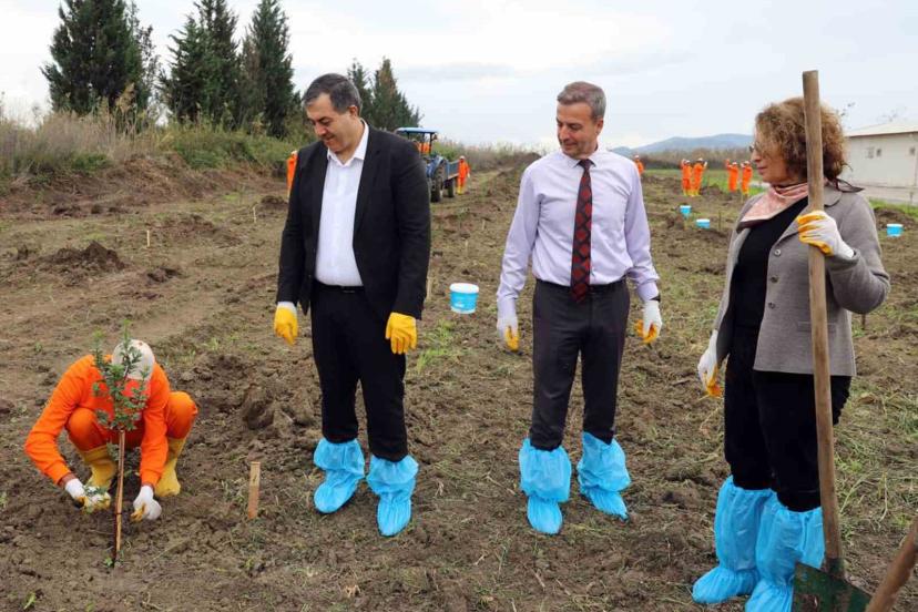 Dalaman Açık Ceza İnfaz Kurumunda 10 dekar alana Sakız ağacı fidanı dikildi