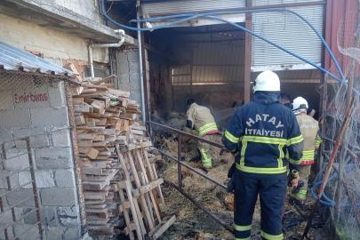 Defne’de samanlık yangını