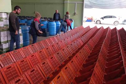 Didim’de organik zeytin ve zeytinyağı üretim alanları denetlendi