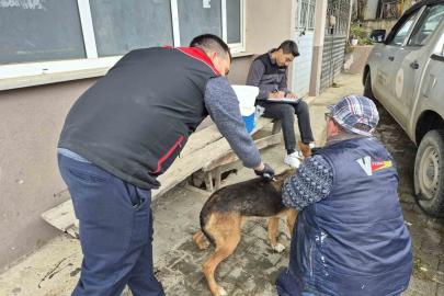 Dijital kimliklendirmede son tarih 31 Aralık 2025