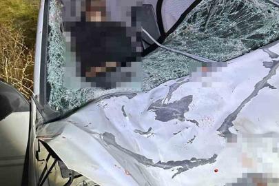 Diyarbakır’da iki otomobil ile at çarpıştı: 1 ölü, 7 yaralı