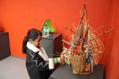 Doğada bulduğu ahşap parçalarını kuş evini çevirdi