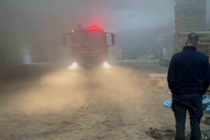 Edirne’de palet fabrikasında yangın