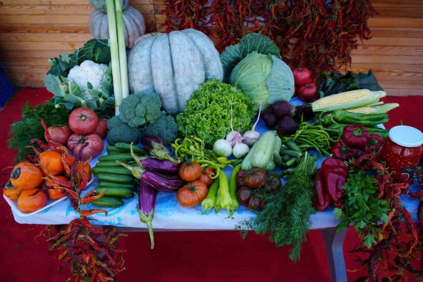Edirneli üreticiler ata tohumundan ürettikleri ürünleri Millet Bahçesi’nde satışa sunuyor