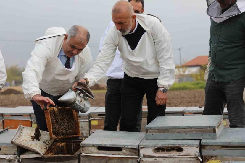 Elazığ arı kovanları incelendi