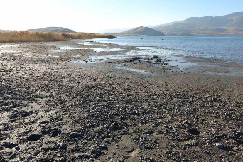 Erçek Gölü’nde su çekilince mikrobiyalitler ortaya çıktı