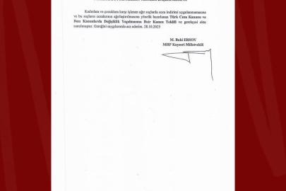 Ersoy’dan kadınlara ve çocuklara yönelik işlenen şiddet hakkında kanun teklifi