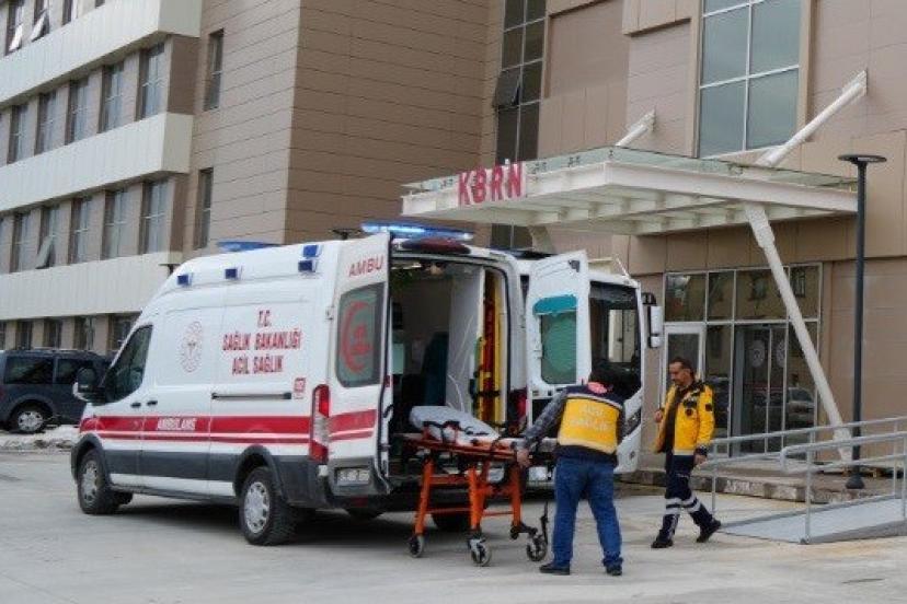 Erzincan’da üzüm bağında çalışan vatandaşa ayı saldırdı