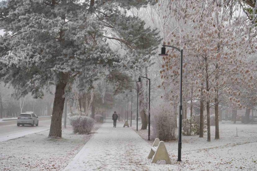 Erzurum güne sis ve kırağı ile uyandı