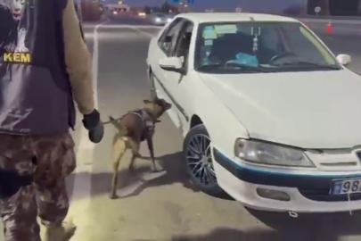 Erzurum’da araçta gizlenmiş uyuşturucuyu ’Magnum’ buldu