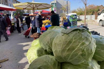 Eskişehir pazarında devasa lahanalar