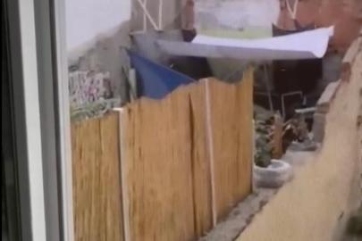 Eskişehir’de köpeğe eziyet eden şahıs yakalandı