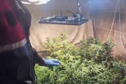 Evini uyuşturucu imalathanesine çevirmiş